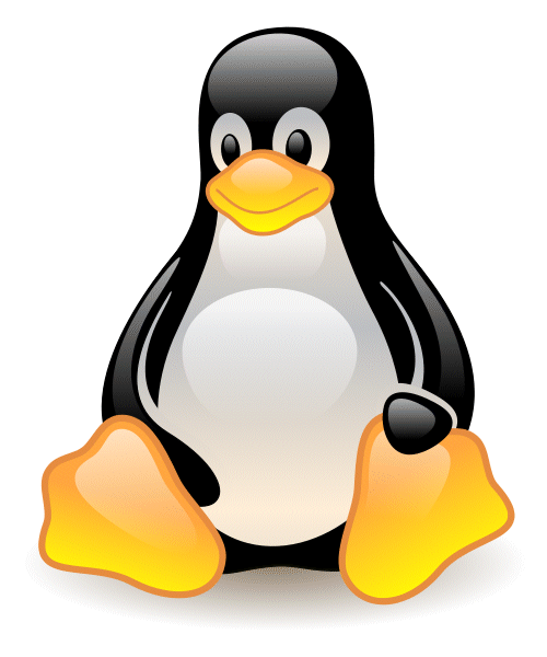 Wir betreuuen auch Linux-Systeme